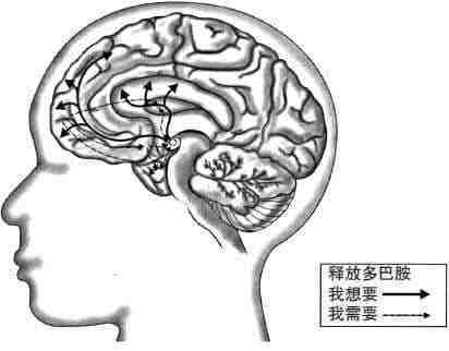 安徽得潤電氣 成套高低壓開關柜 廠家 報價 電話：400-0551-777 qq：3176885416